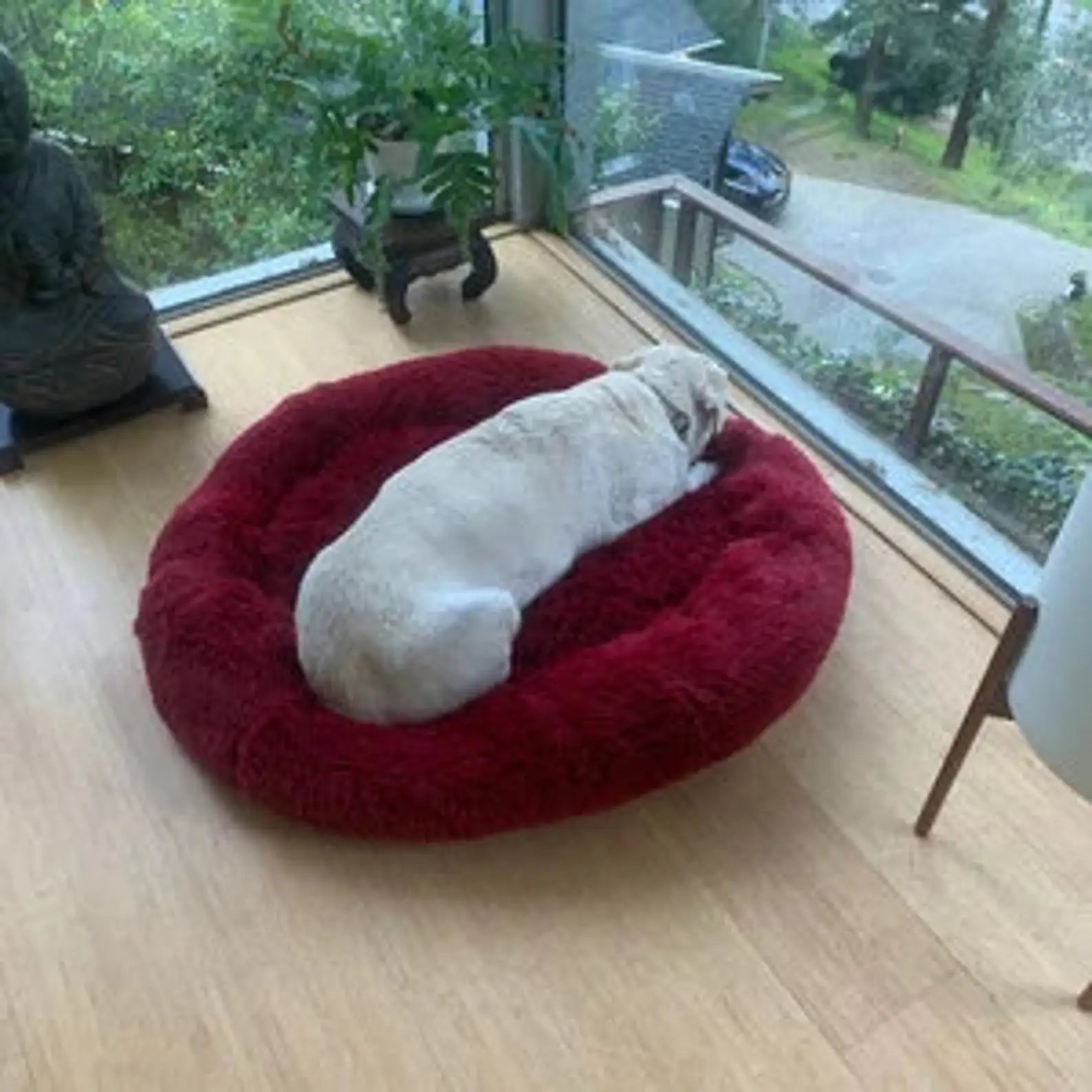 Orthopedic Donut Pet Bed – Calming Anti-Anxiety Round Dog & Cat Sofa, Washable Plush Bolster Bed (Fits 15.7–39.4 in / 40–100 cm)